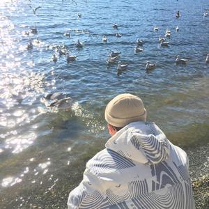 扌喿辶逼的免费视频
