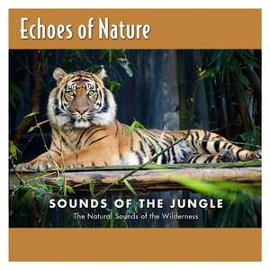 扌喿辶逼的免费视频
