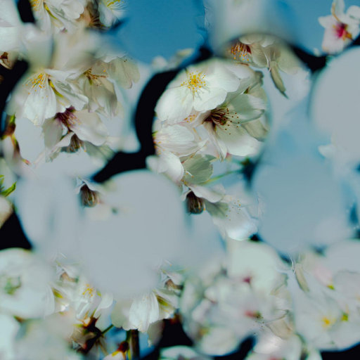 扌喿辶逼的免费视频
